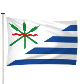 Vlag Anjum - Eanjum (fr)