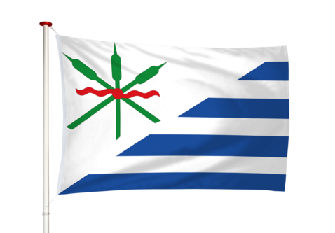 Vlag Anjum - Eanjum (fr)