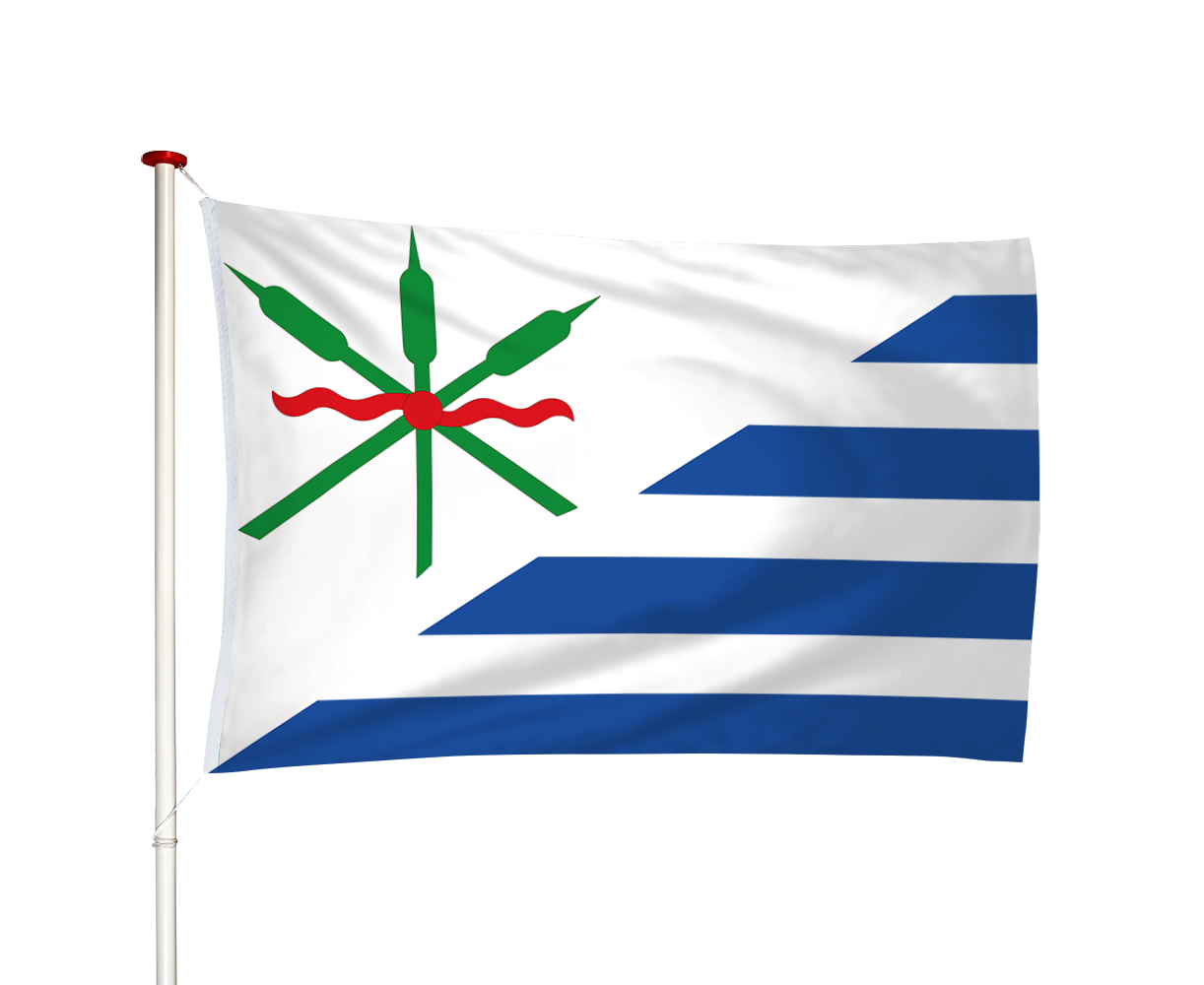 Vlag Anjum - Eanjum (fr)