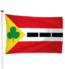 Vlag Appelscha - Appelskea (fr)