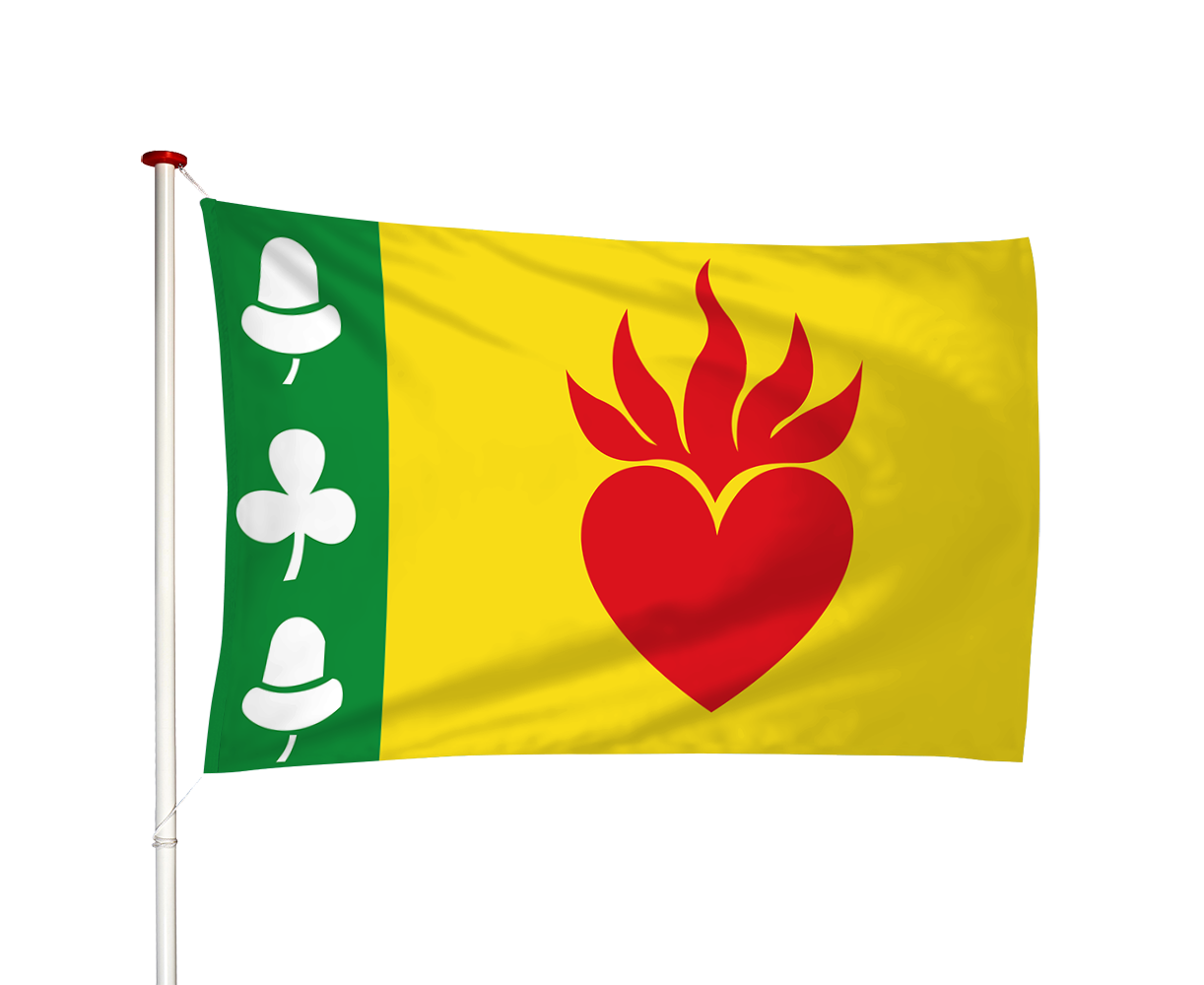 Vlag Augustinusga - Stynsgea (fr)
