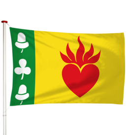 Vlag Augustinusga - Stynsgea (fr)