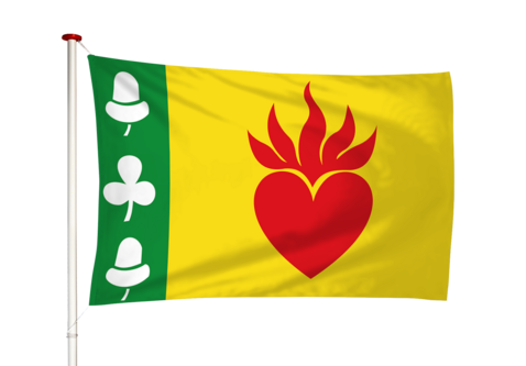 Vlag Augustinusga - Stynsgea (fr)