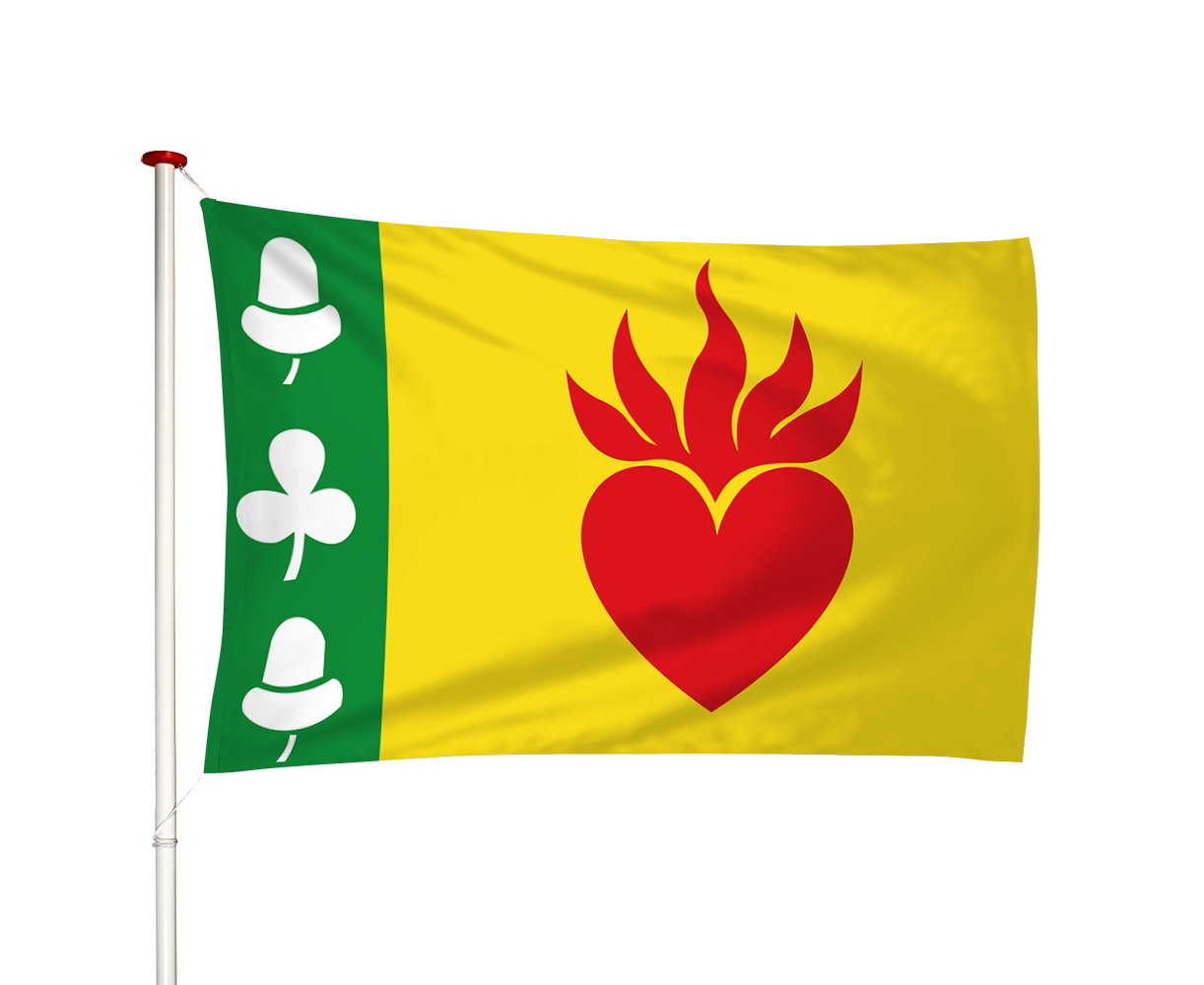 Vlag Augustinusga - Stynsgea (fr)