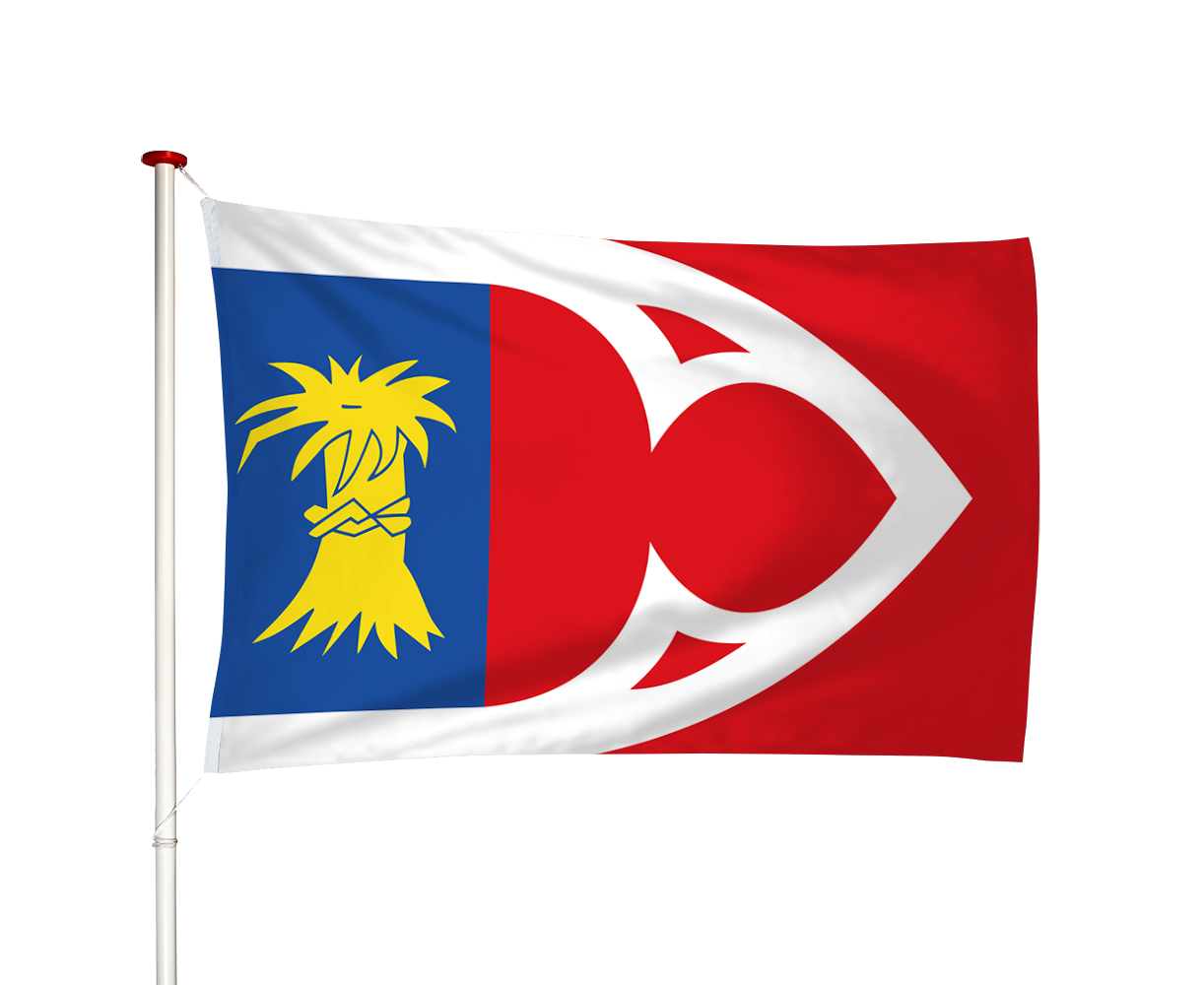 Vlag Baijum - Baaium (fr)