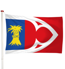 Vlag Baijum - Baaium (fr)