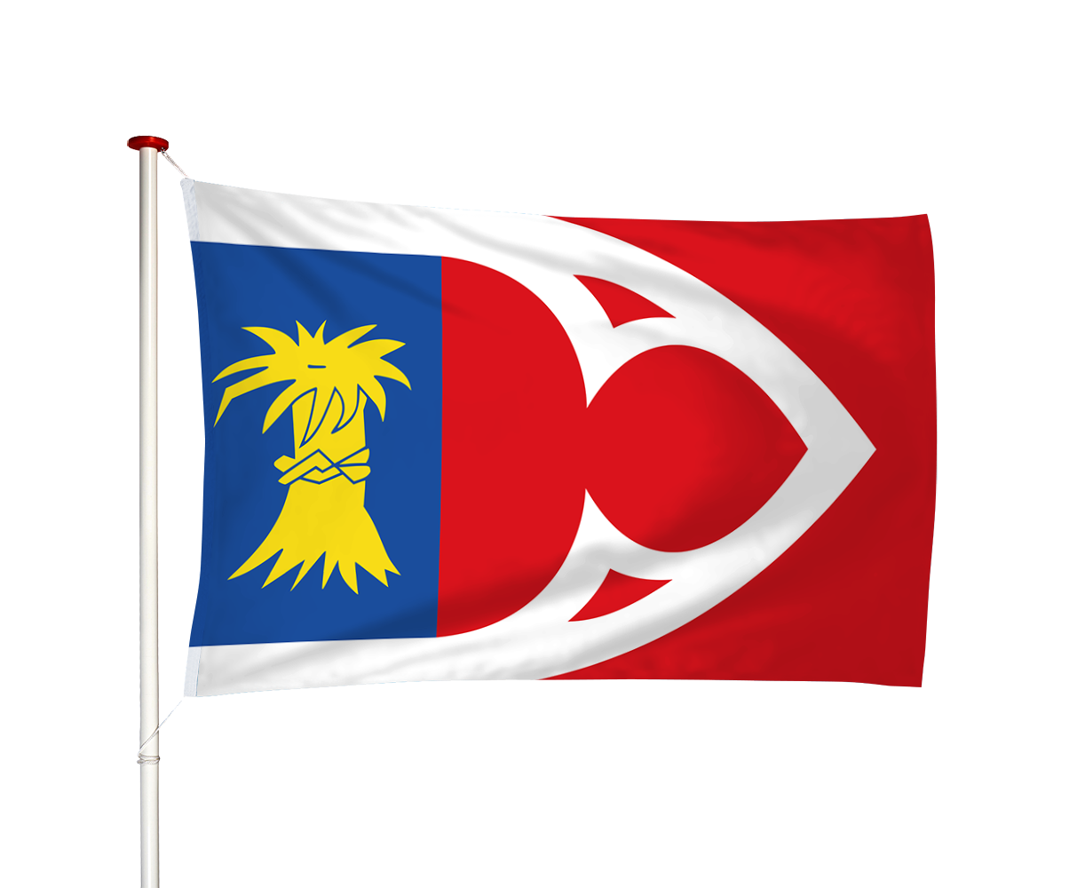 Vlag Baijum - Baaium (fr)