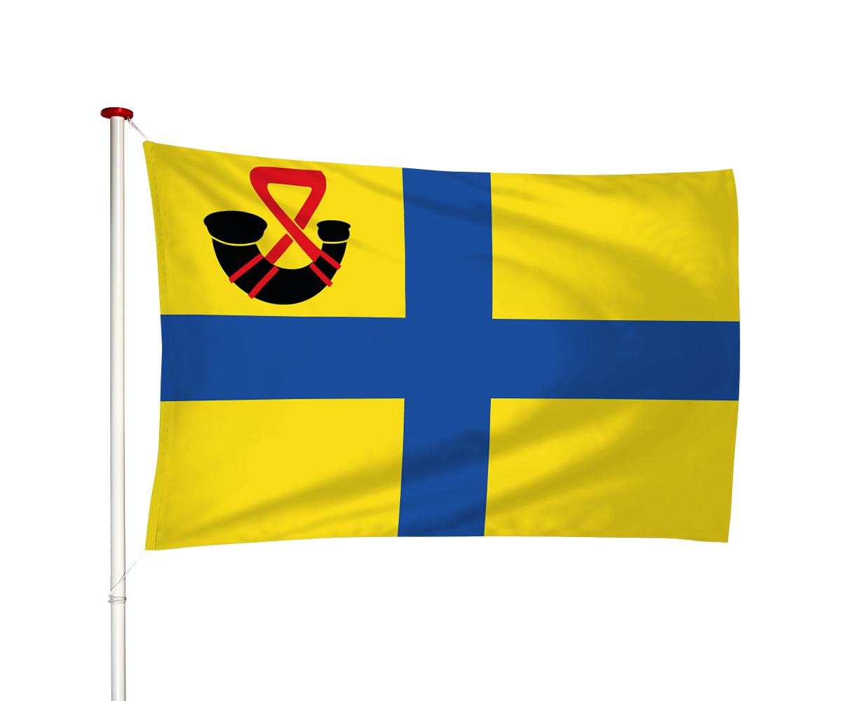 Vlag Bergum - Burgum (fr)
