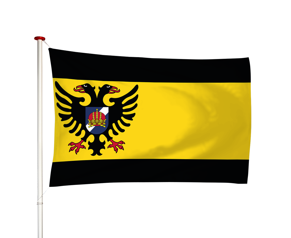 Vlag Bolsward - Boalsert (fr)