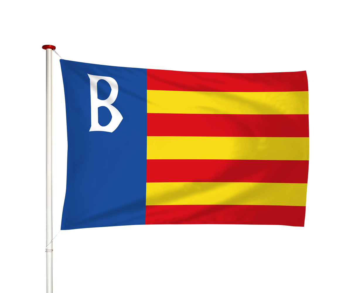 Vlag Brongerga - Brongergea (fr)