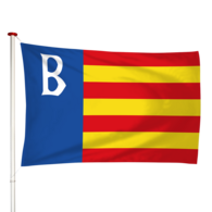 Vlag Brongerga - Brongergea (fr)