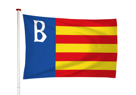 Vlag Brongerga - Brongergea (fr)