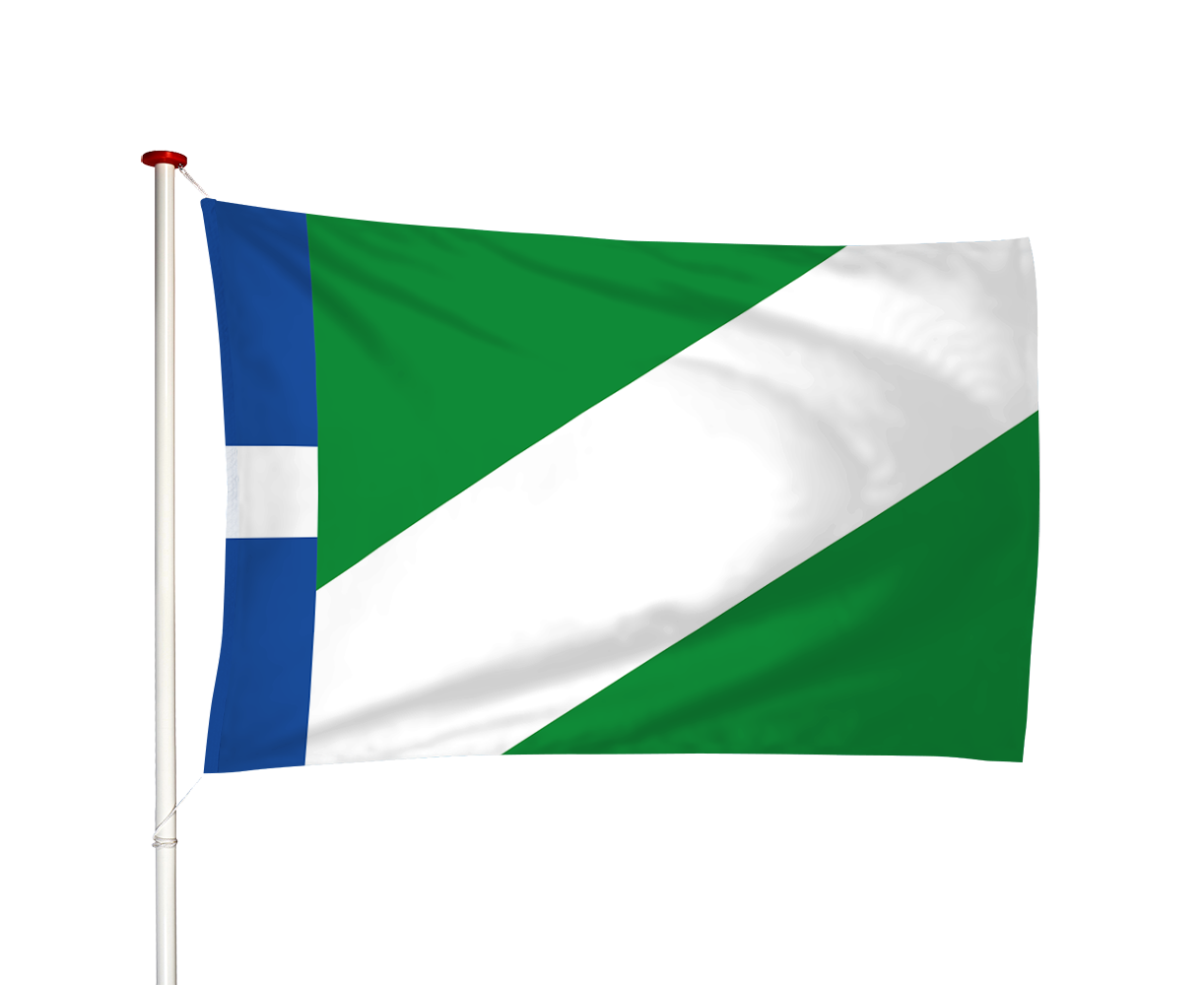 Vlag Burgwerd - Burchwert (fr)