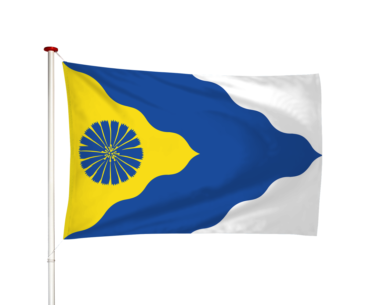 Vlag De Valom - De Falom (fr)