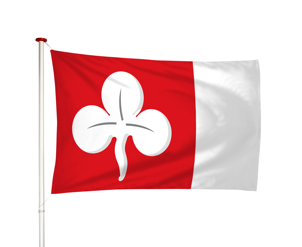 Vlag Deersum - Dearsum (fr)