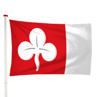Vlag Deersum - Dearsum (fr)