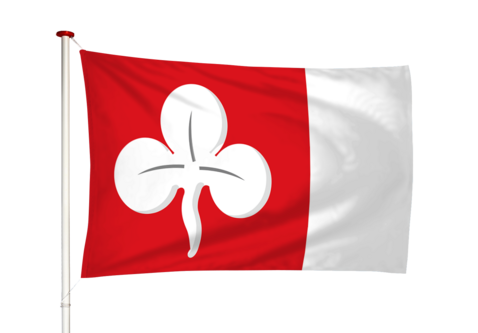 Vlag Deersum - Dearsum (fr)