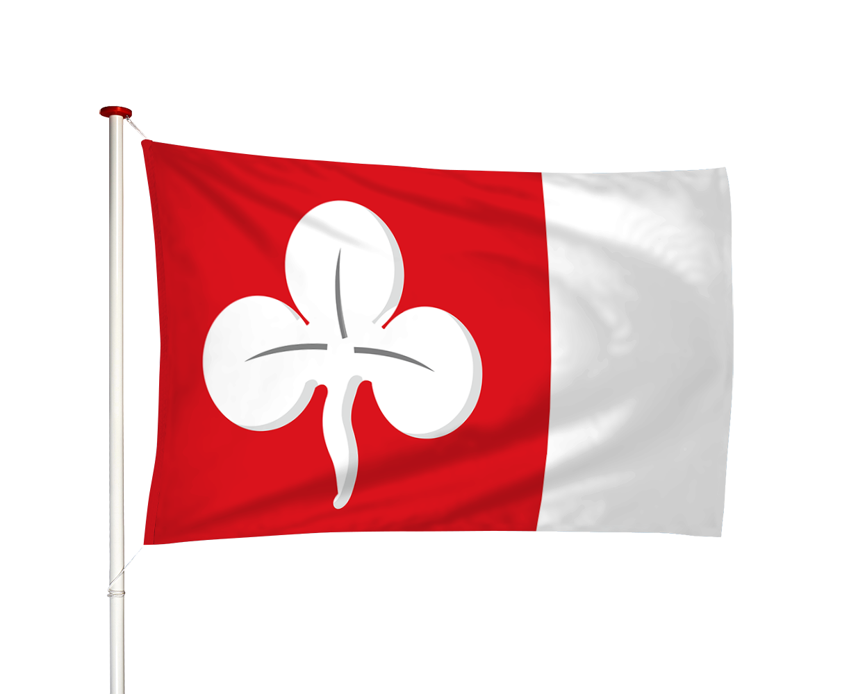 Vlag Deersum - Dearsum (fr)