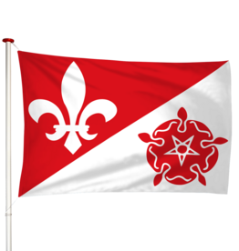 Vlag Dongjum - Doanjum (fr)