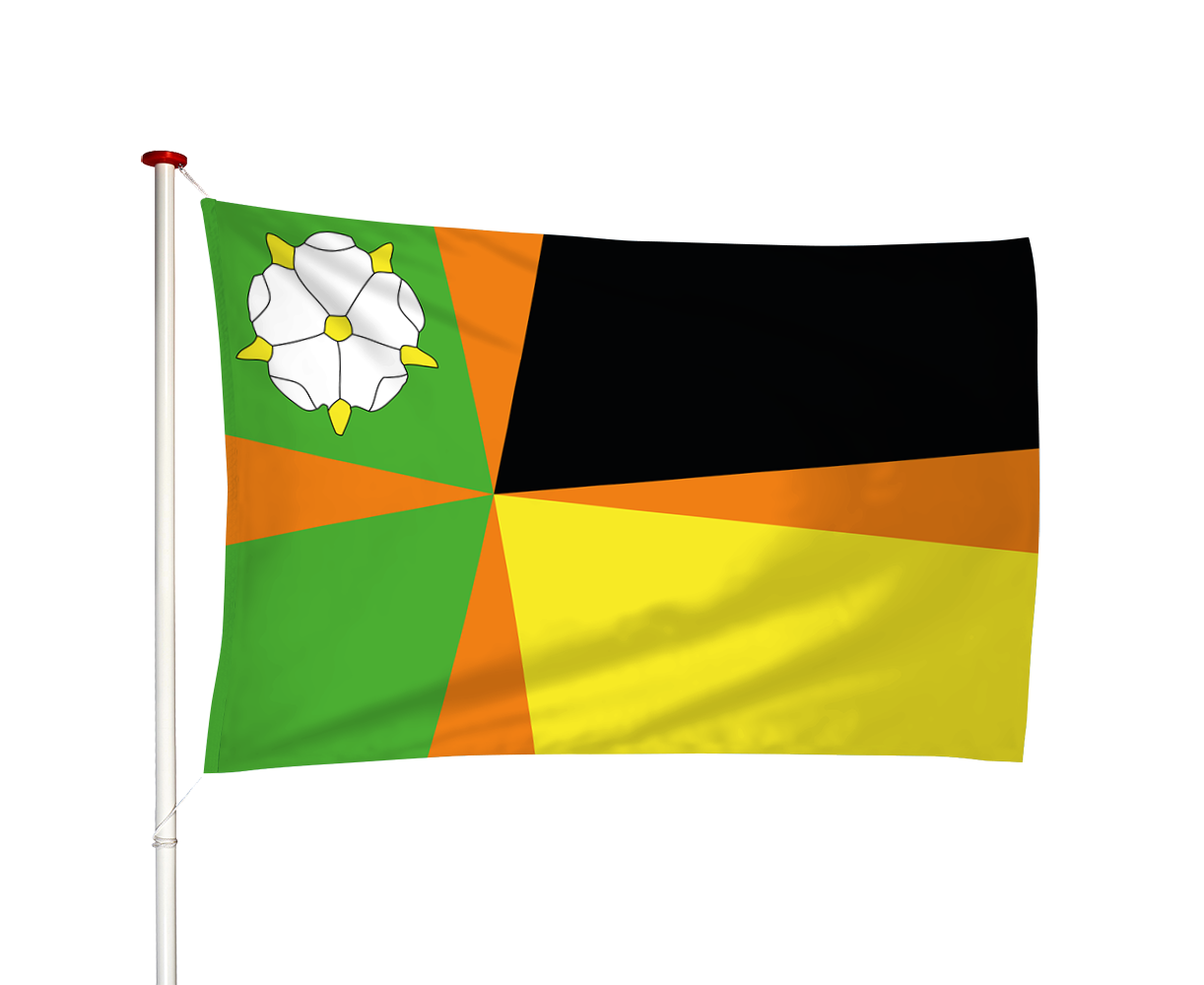 Vlag Driesum - Driezum (fr)