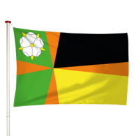 Vlag Driesum - Driezum (fr)