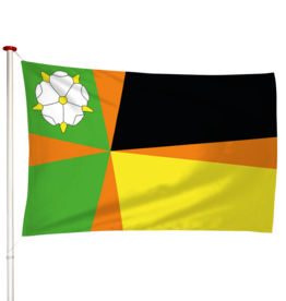 Vlag Driesum - Driezum (fr)