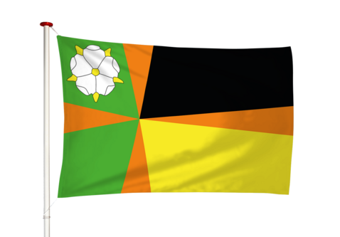 Vlag Driesum - Driezum (fr)