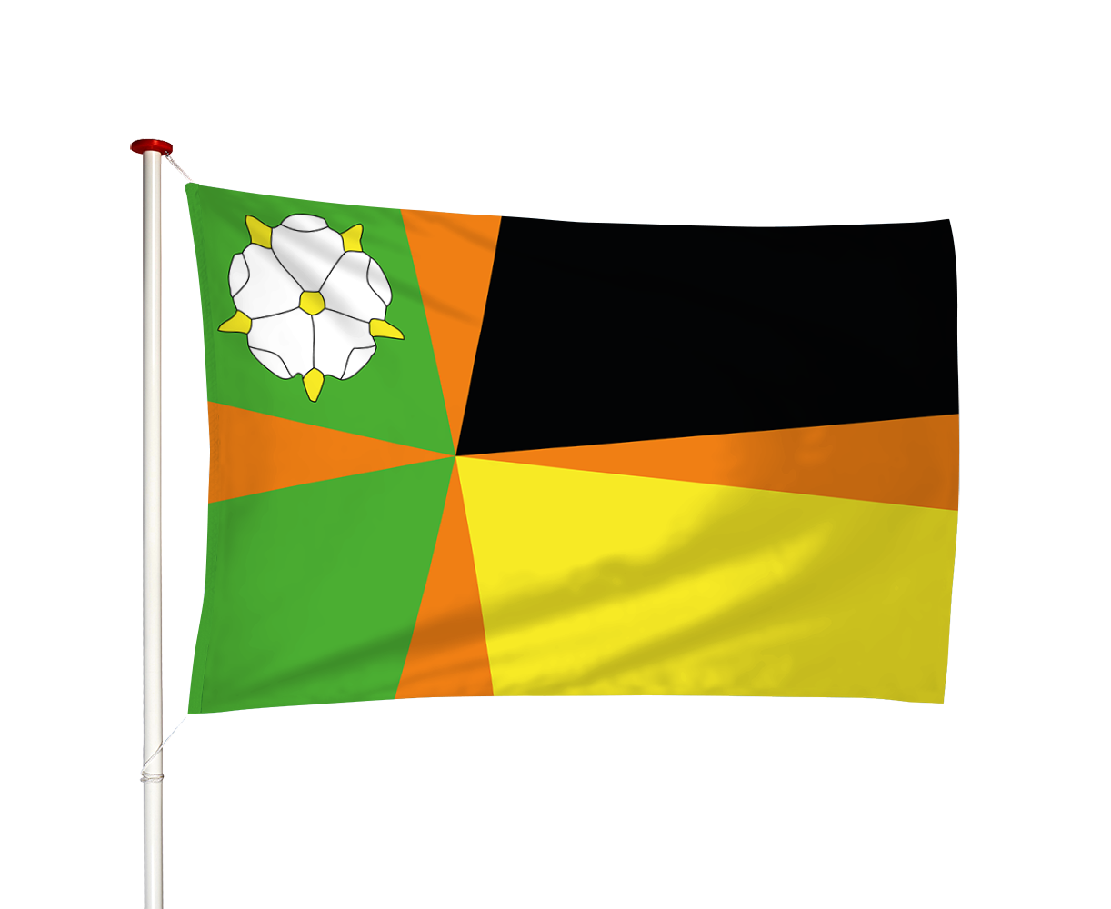 Vlag Driesum - Driezum (fr)