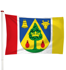 Vlag Drogeham - Droegeham (fr)
