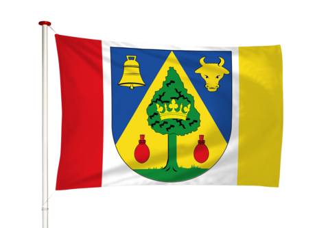 Vlag Drogeham - Droegeham (fr)