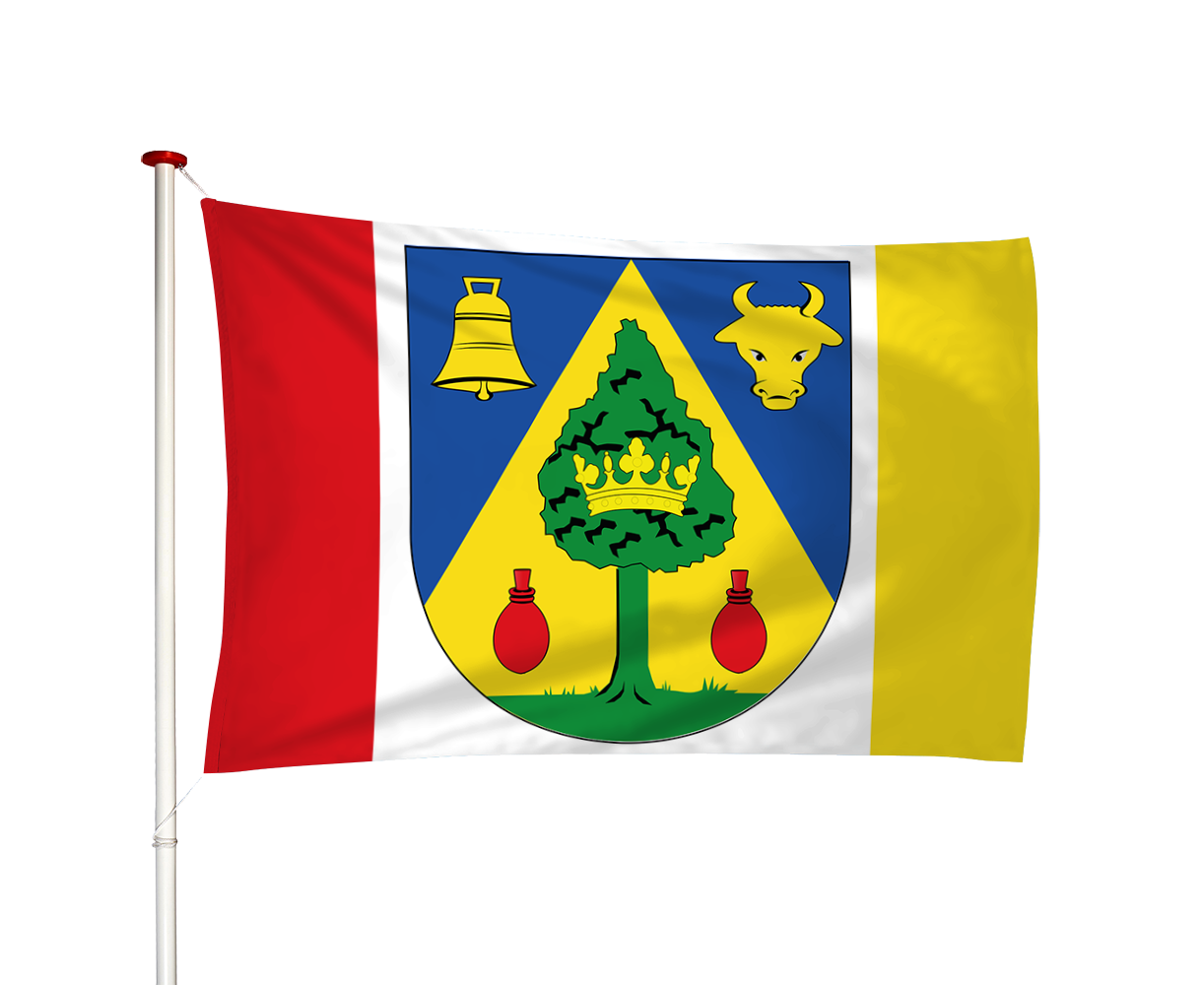 Vlag Drogeham - Droegeham (fr)