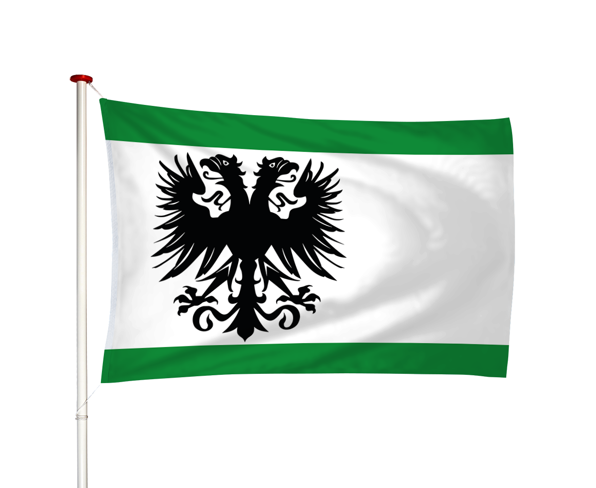 Vlag Eernewoude - Earnewald (fr)