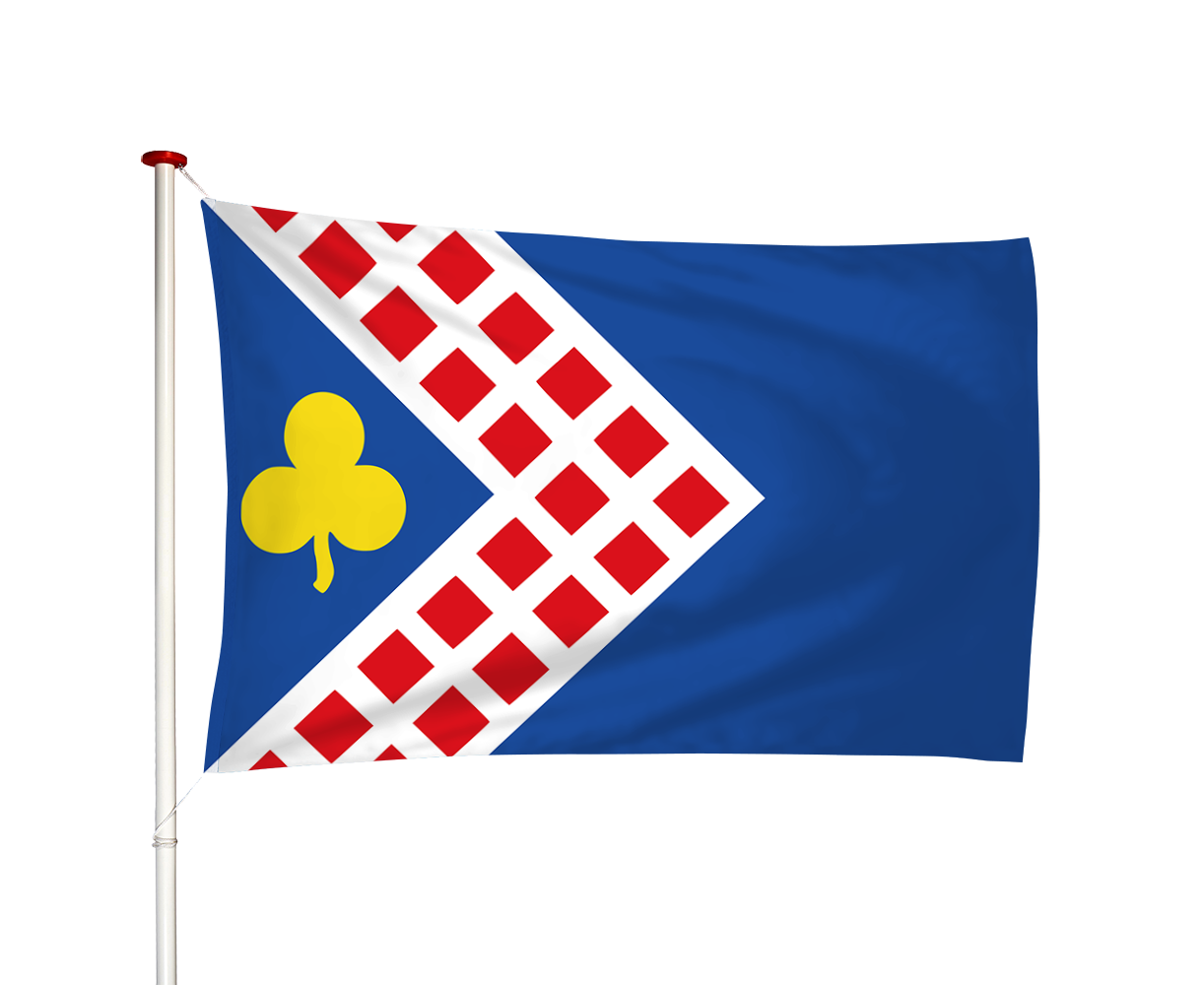 Vlag Folsgare - Folsgeare (fr)