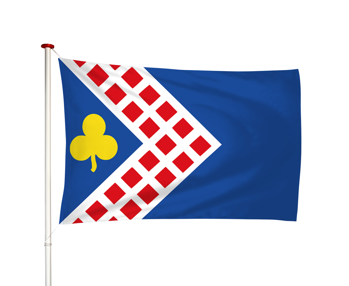 Vlag Folsgare - Folsgeare (fr)