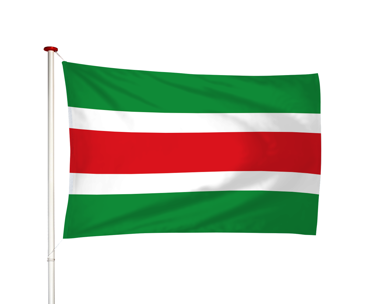 Vlag Garijp - Garyp (fr)