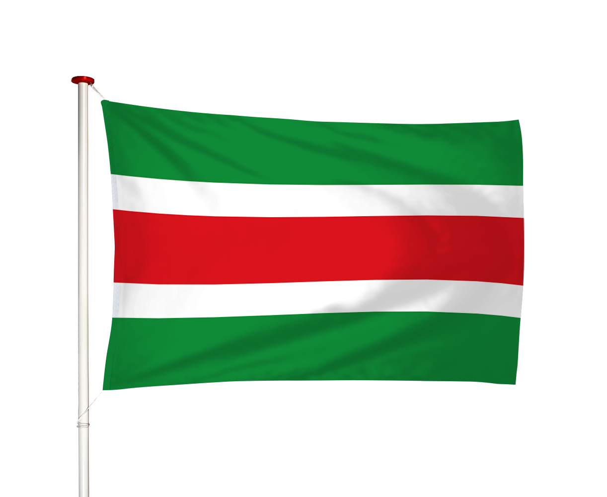 Vlag Garijp - Garyp (fr)