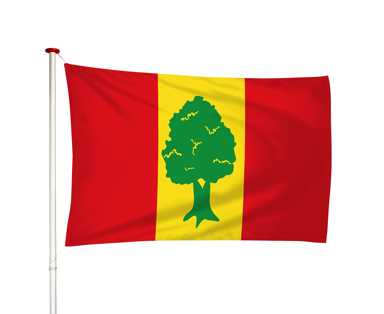 Vlag Giekerk - Gytsjerk (fr)