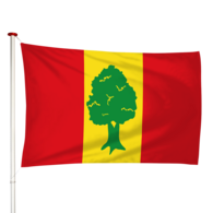 Vlag Giekerk - Gytsjerk (fr)