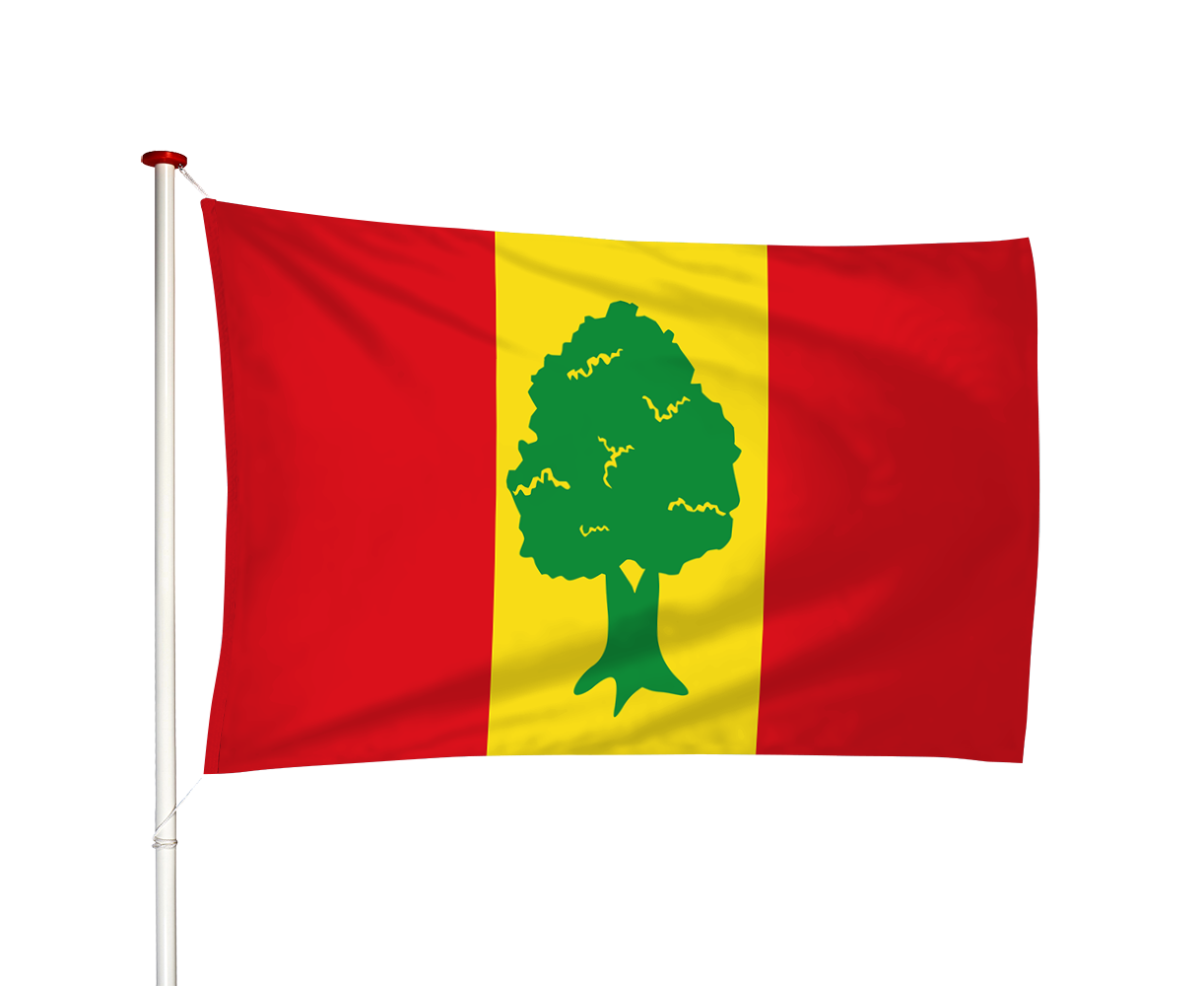 Vlag Giekerk - Gytsjerk (fr)