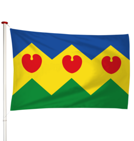Vlag Goengahuizen - Goiingahuzen (fr)