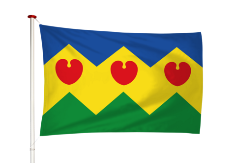 Vlag Goengahuizen - Goiingahuzen (fr)