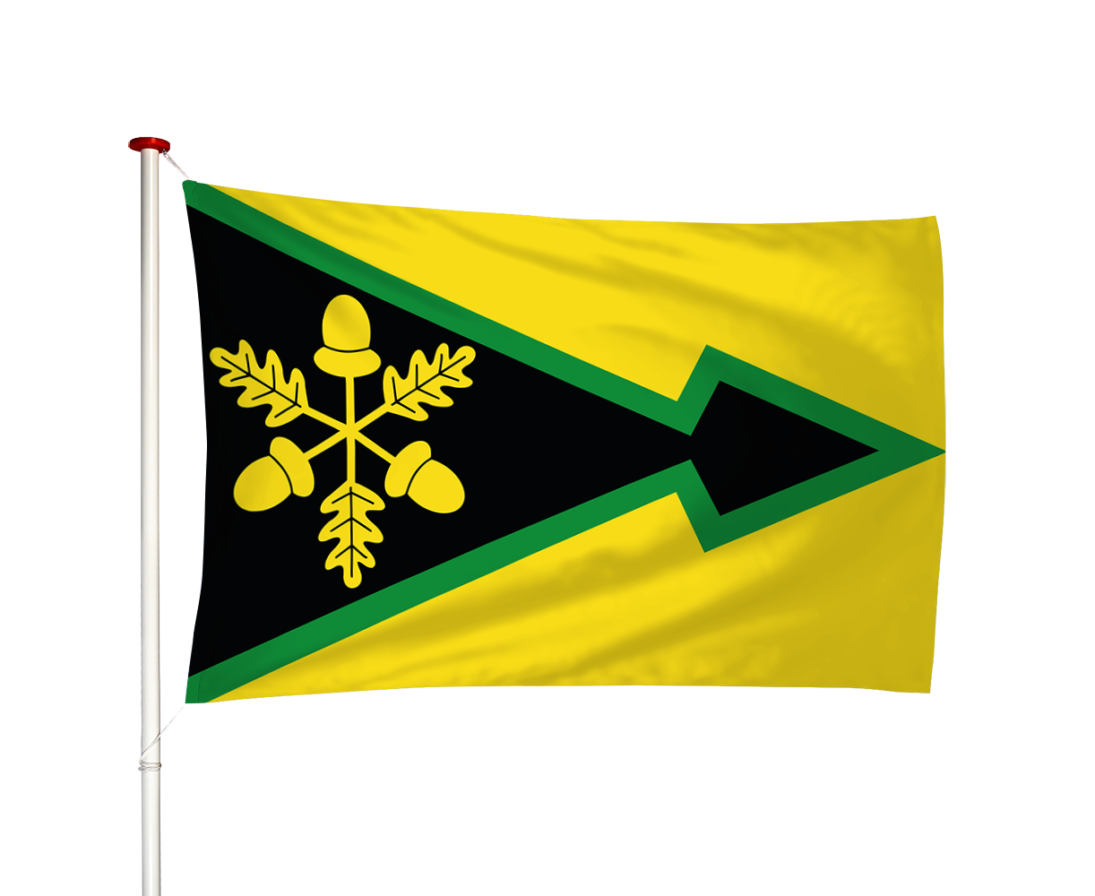 Vlag Gorredijk - De Gordyk (fr)