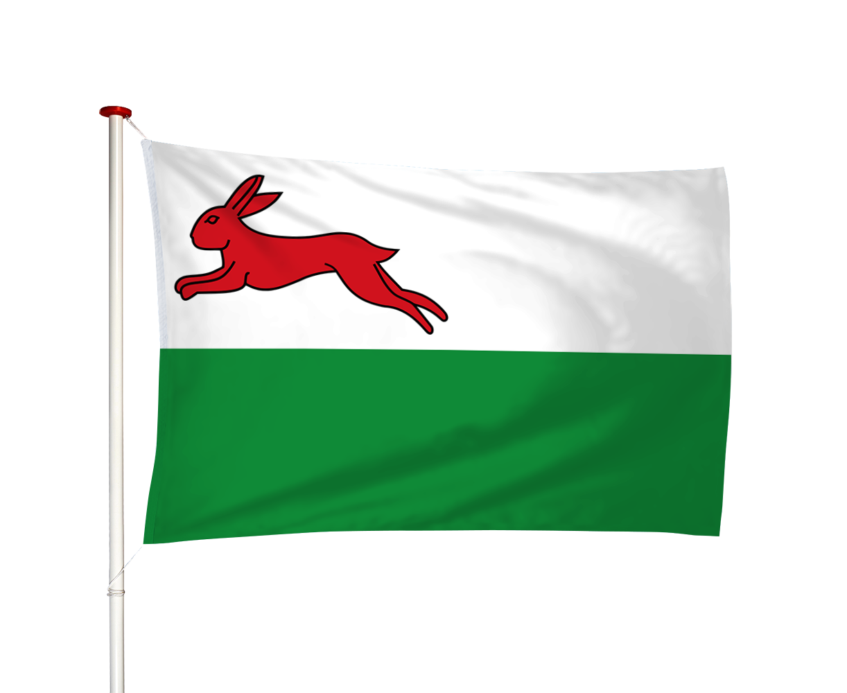 Vlag Haskerhorne - Haskerhoarne (fr)