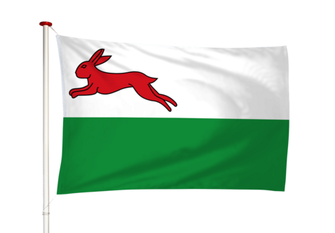 Vlag Haskerhorne - Haskerhoarne (fr)