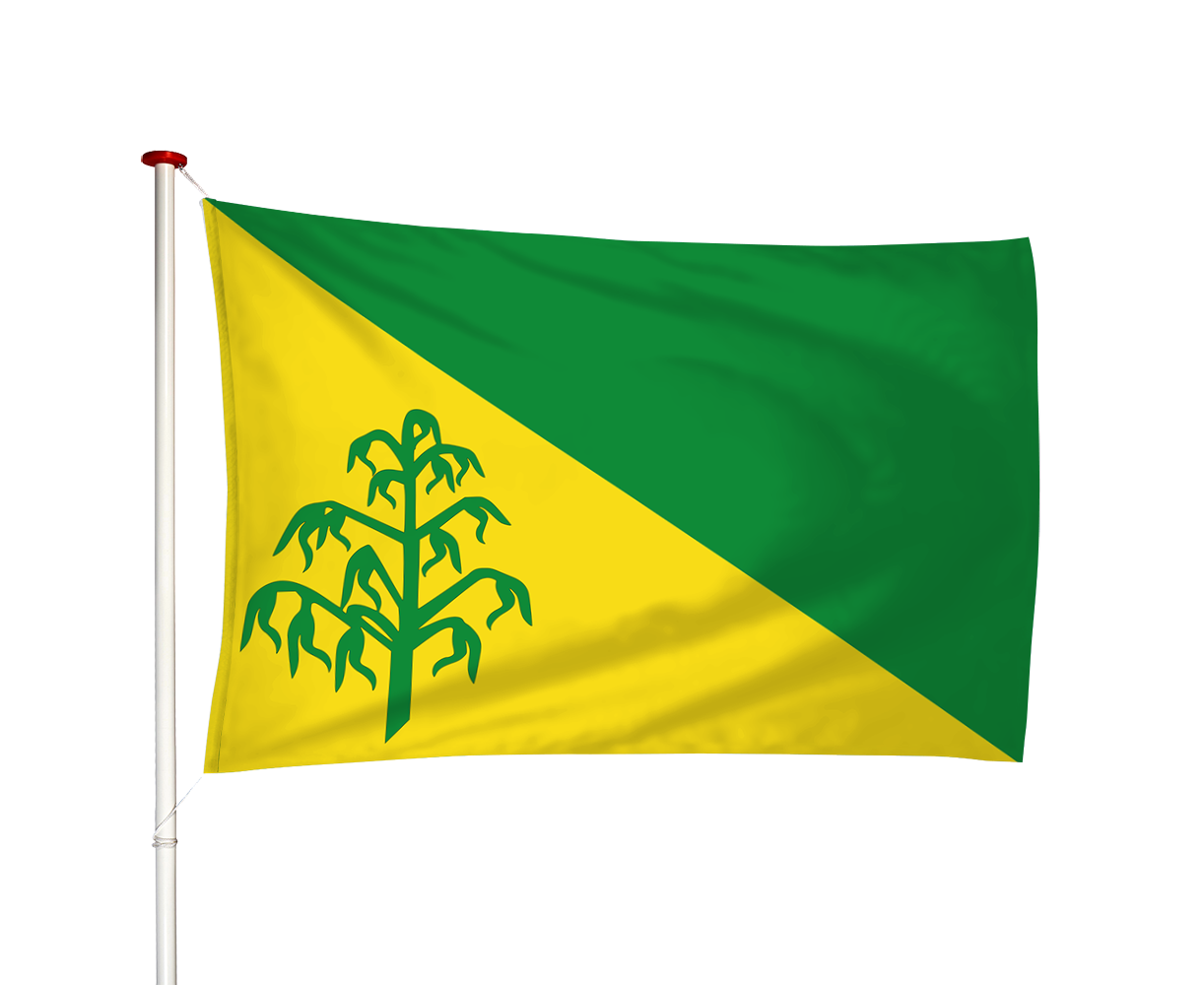 Vlag Hiaure - De Lytse Jouwer (fr)