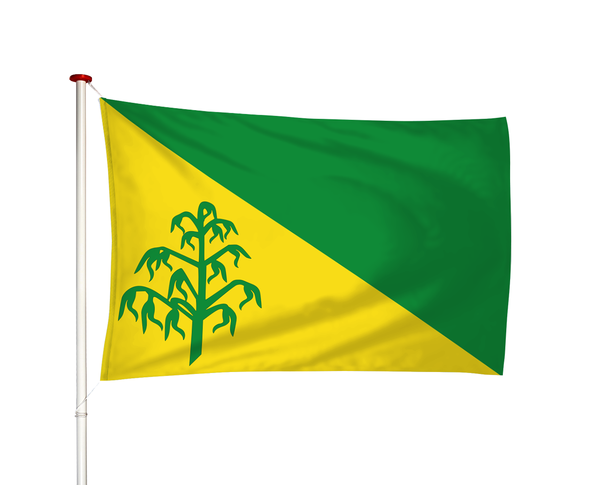 Vlag Hiaure - De Lytse Jouwer (fr)