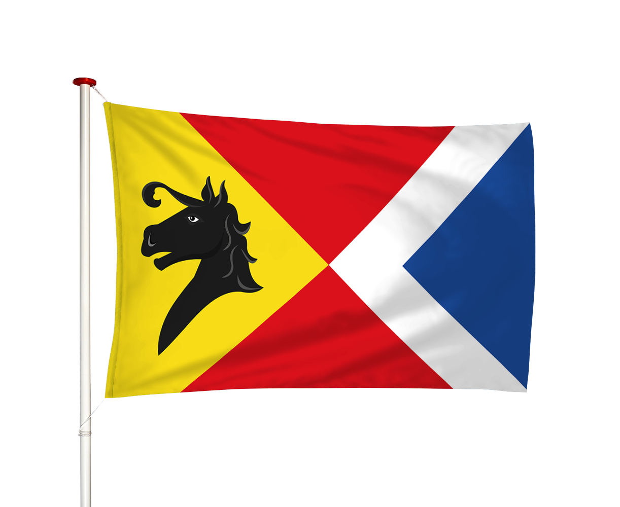 Vlag Hidaard