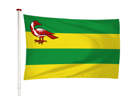 Vlag Hindeloopen - Hylpen (fr)