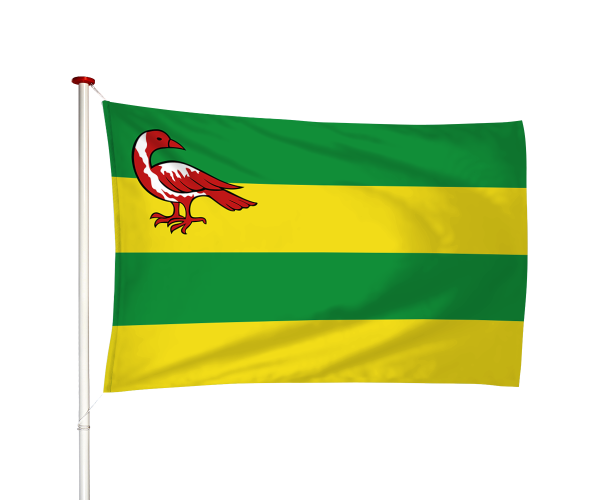 Vlag Hindeloopen - Hylpen (fr)