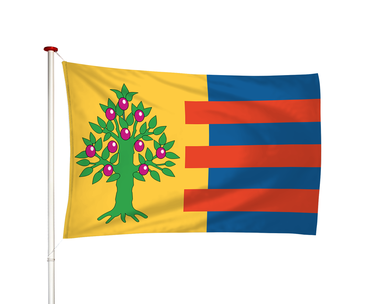 Vlag Hitzum - Hitsum (fr)